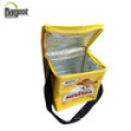 Sedex Promotional Hot Selling Non Woven Cooler Bag for Bottles